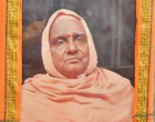 H.H. Sri Swami Krishnanandaji Maharaj Birth Centenary